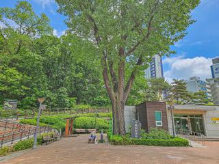 효성동 숨겨진 보물 같은 자연 명소 이촌근린공원에서 함께 산책해요!