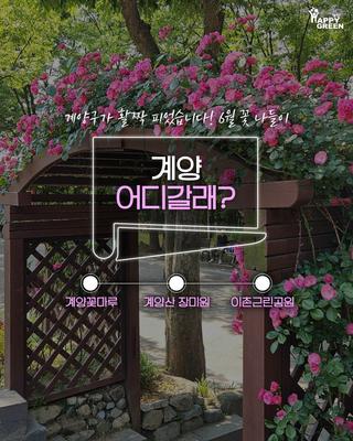 계양 어디갈래? - 6월 꽃 나들이