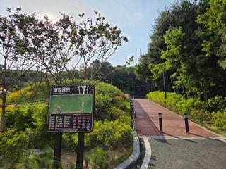 6월의 시원한 천마산 산책