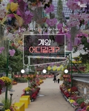 계양어디갈래? - 즐거운 추석 연휴 기간 계양에서 즐겨요!