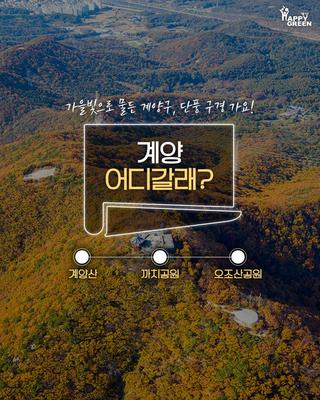 계양 어디갈래? - 가을빛으로 물든 계양구, 단풍 구경 가요!