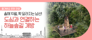 남산 산책로 조성! 올해 10월, '남산 하늘숲길'에서 트레킹하며 전망 감상해요