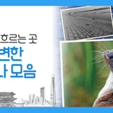 한강공원의 역사, 어디까지 알고 계세요? 고수부지 체육공원부터, 페스티벌 명소로 거듭나기까지!