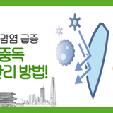 여름철 식중독 주의! 급증하는 살모넬라 감염 예방 방법부터 감염제로 조리환경 컨설팅 지원 사업 확인해요~