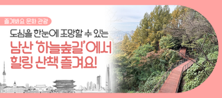 서울의 새로운 명소 탄생! 남산 ‘하늘숲길’에서 만나는 도심 속 힐링 산책