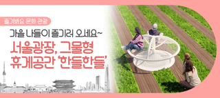서울광장에 그물형 휴게공간 '한들한들' 조성! 가을 나들이 즐기러 오세요~