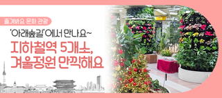 서울시 지하철에서 만나는 작은 겨울정원, '아래숲길'