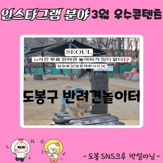[인스타그램 분야 3월 우수콘텐츠] ' 도봉구 반려견놀이터' 를 소개하다