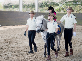 제주의 치안과 홍보를 책임지는 자치경찰기마대를 소개합니다.