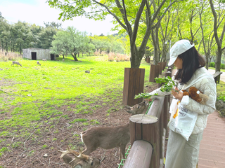 제주 어린이 체험 장소 노루생태관찰원
