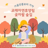 '가을단풍 보러 교래자연휴양림 곶자왈 숲길로 오세요'