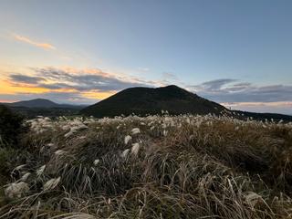 제주도 동쪽 오름 추천! 억새 물결 가득한 아끈다랑쉬 오름