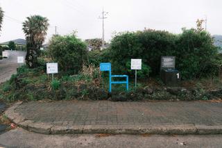 올레길 1코스를 걷다