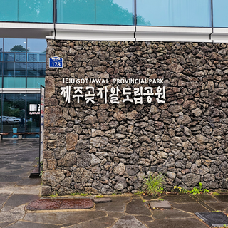 비 오는 날에도 걷기 좋은 숲길! 곶자왈도립공원 테우리길