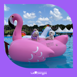 "댕댕이도 여름방학이 필요해!" 하하호호 반려견 물놀이장 8/17 운영