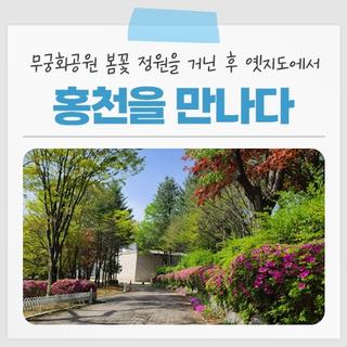 [홍천 가볼만한곳] 무궁화공원 봄꽃 정원을 거닌 후 옛지도에서 홍천을 만나다.