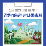 홍천에서 진짜 봄의 맛을 즐겨보세요! 강원n홍천 산나물축제
