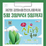 [홍천 가볼만한곳] 제7회 강원n홍천산나물축제 5월 3일부터 5일까지