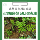 [홍천 가볼만한곳] 2025 강원n홍천 산나물축제 홍천 봄 먹거리 축제 홍천 산나물축제는 언제? 축제 일정과 정보 프로그램