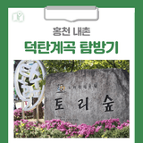 [홍천 가볼만한곳] 홍천 내촌 덕탄계곡 탐방기 ｜ 바위와 물이 된 시간