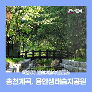 익산가족나들이 자연 속 힐링명소! 송천계곡(웅포문화체육센터), 용안생태습지공원