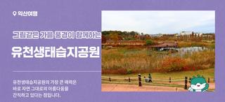 그림같은 가을 풍경이 함께하는 유천생태습지공원