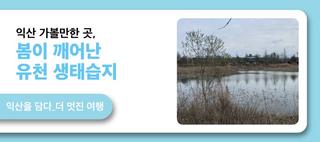 익산 가볼 만한 곳, 봄이 깨어난 유천 생태습지