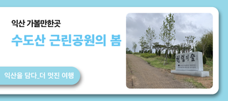 익산 가볼만한곳, 수도산 근린공원의 봄