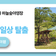 자연으로 돌아가는 일상 탈출 (Faet. 에코캠핑장과 하늘숲야영장)