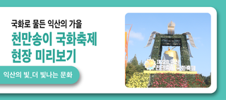 국화로 물든 익산의 가을, 천만송이 국화축제 미리보기