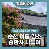 시원한 여름 풍경을 즐길 수 있는 송광사 나들이