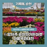 秋향저격 순천만가든마켓 가을국화대전