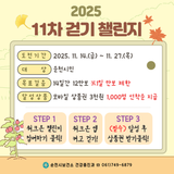 2025년 11차 워크온 걷기 챌린지