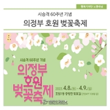 시승격 60주년 기념 의정부 호원 벚꽃축제