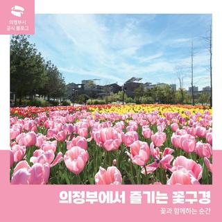 꽃이 피는 순간을 담다! 의정부에서 즐기는 꽃구경