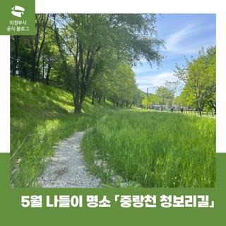 5월 나들이 명소 「중랑천 청보리길」