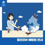 말라리아 예방법 안내