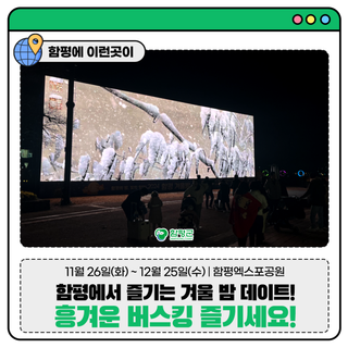 [전남 겨울 밤 데이트] 함평 겨울빛축제와 함께 흥겨운 버스킹 즐기세요!