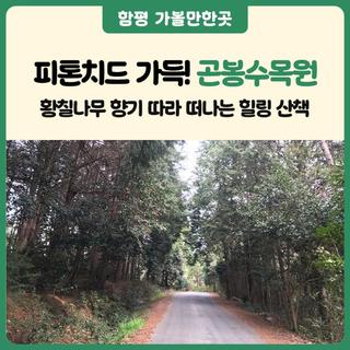 [전남 힐링여행지] 피톤치드 가득 느껴봐요! 함평 곤봉수목원