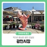 먹거리가 풍성한 광천 오일장 광천시장