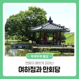 연꽃이 예쁘게 피어난 여하정과 안회당
