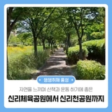 자연을 느끼며 산책과 운동하기에 좋은 신리체육공원에서 신리천공원까지