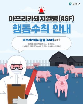 아프리카돼지열병(ASF) 행동수칙 안내