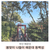 [해랑] 해운대 봄나들이는? 동백섬·APEC 나루공원 방문해보세요!