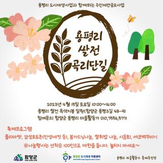 용평리 쌀전 곡리단길 축제