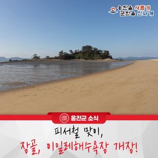 피서철 맞이 장골, 이일레해수욕장 개장!