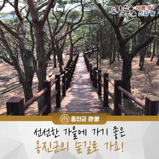 선선한 가을에 가기 좋은 옹진군의 숲길로 가요!
