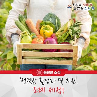 옹진군, '섬텃밭 활성화 및 지원' 조례 제정!