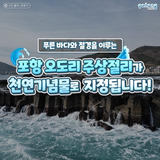 푸른 바다와의 절경 <포항 오도리 주상절리> 천연기념물로 지정 예고!