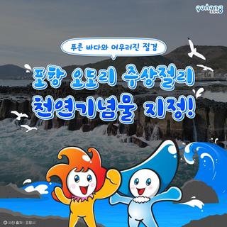 푸른 바다와 어우러진 절경 <포항 오도리 주상절리> 천연기념물 지정!